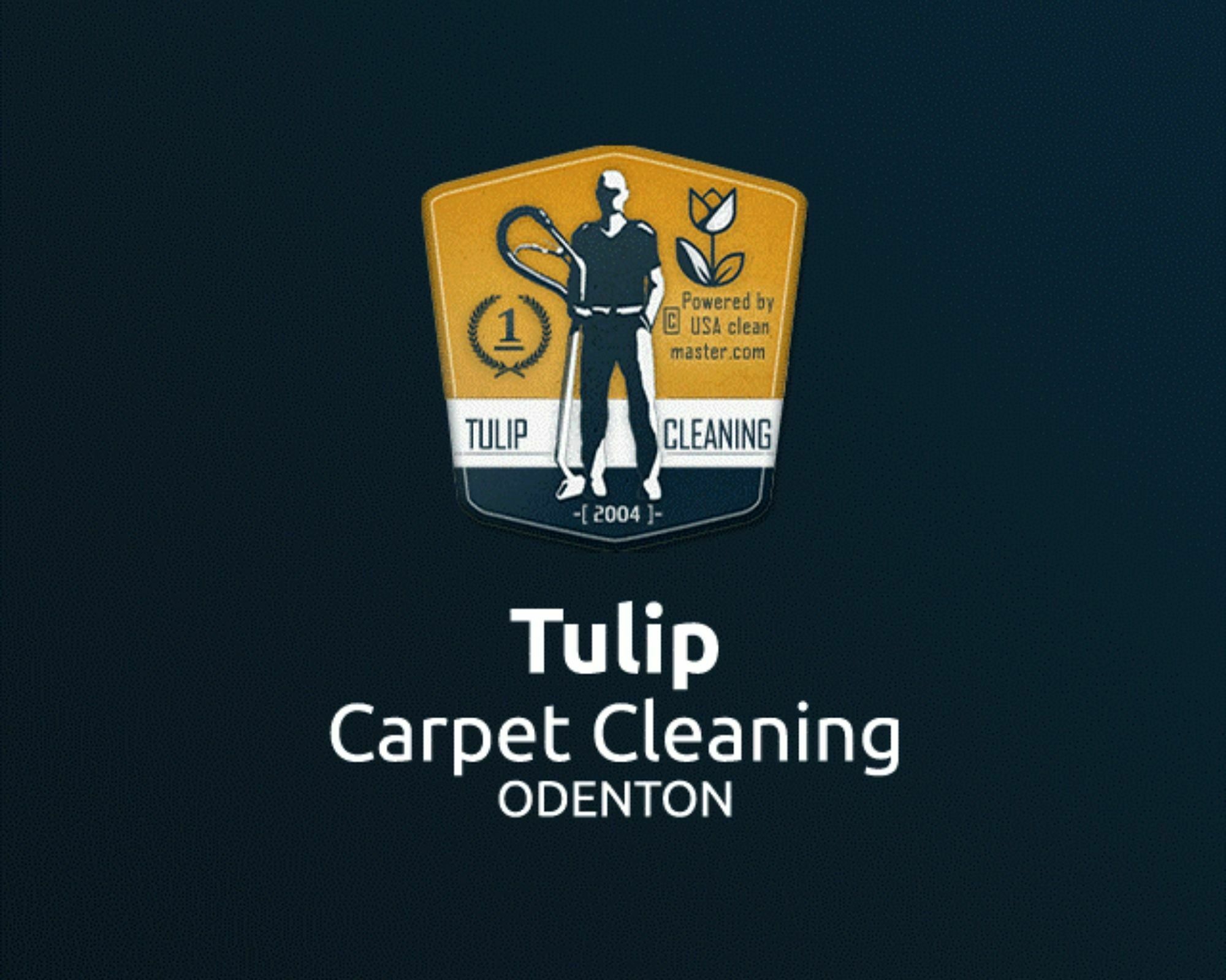Hippo Carpet Cleaning Chantilly